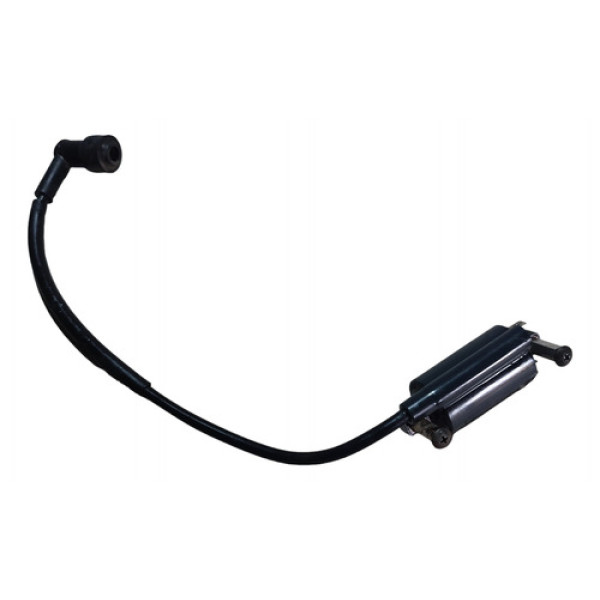 Bobina De Faisca Suzuki Gsr 150 2012 Original 