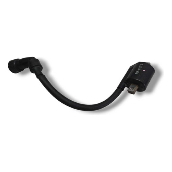  Bobina De Faisca Yamaha Fazer 250 2022 Original