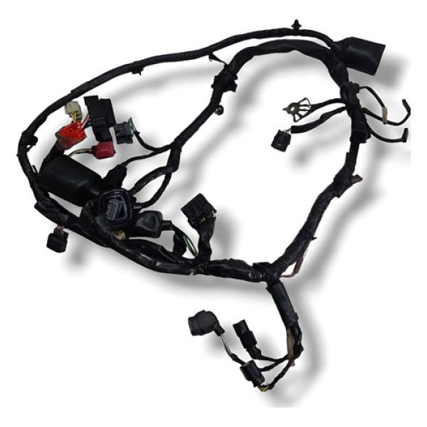 Chicote Principal Bros 160 2019 Original