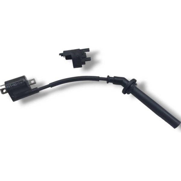  Bobina De Faisca Esquerdo Yamaha R3 2021 Original