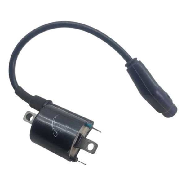 Bobina De Ignição Honda Fan 160 2022 Original