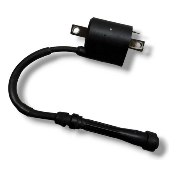  Bobina De Faisca Dafra Next 250 2013 Original