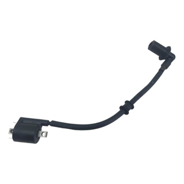 Bobina De Faisca Yamaha Fluo 125 Abs 2024 Original