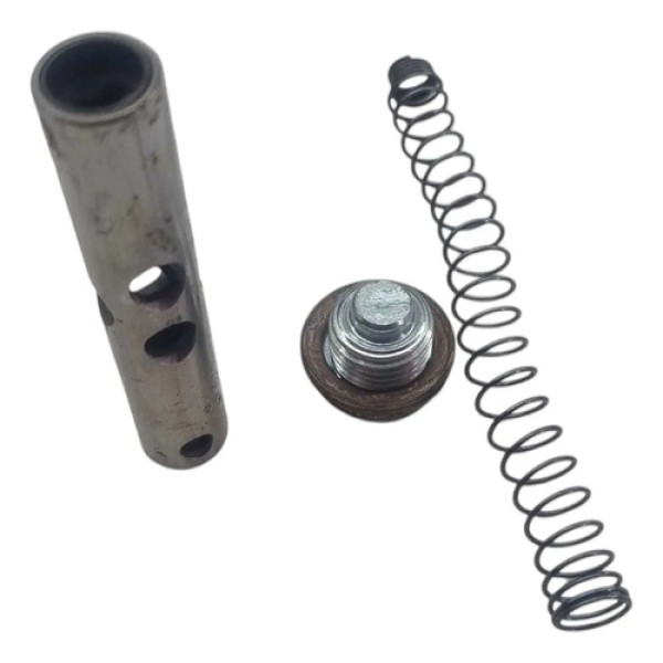 Esticador De Corrente  Honda Pop 110 2016 2024 Original Prata