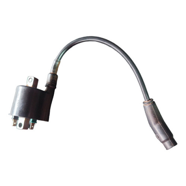 Bobina De Faisca/ignição Honda Fan 160 2018 Original (6801)